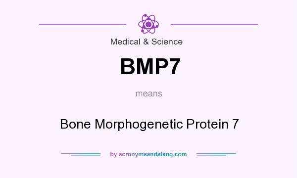 What does BMP7 mean? It stands for Bone Morphogenetic Protein 7
