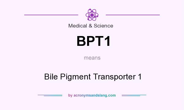 What does BPT1 mean? It stands for Bile Pigment Transporter 1