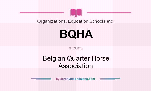 What does BQHA mean? It stands for Belgian Quarter Horse Association