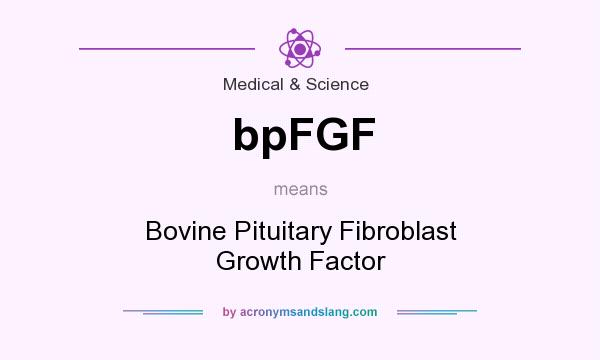 What does bpFGF mean? It stands for Bovine Pituitary Fibroblast Growth Factor