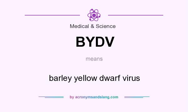 What does BYDV mean? It stands for barley yellow dwarf virus