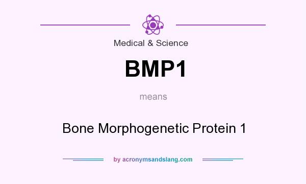 What does BMP1 mean? It stands for Bone Morphogenetic Protein 1
