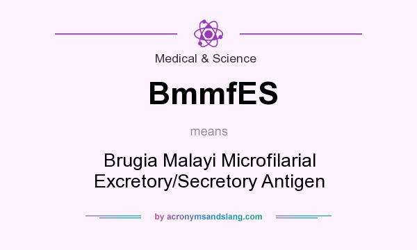 What does BmmfES mean? It stands for Brugia Malayi Microfilarial Excretory/Secretory Antigen