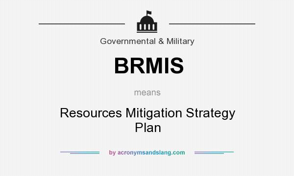 What does BRMIS mean? It stands for Resources Mitigation Strategy Plan