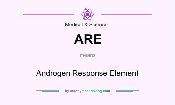 What does ARE mean? It stands for Androgen Response Element