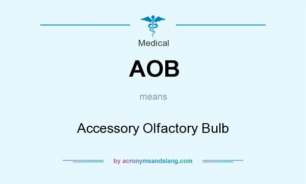 What does AOB mean? It stands for Accessory Olfactory Bulb