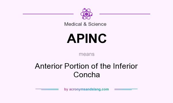 What does APINC mean? It stands for Anterior Portion of the Inferior Concha