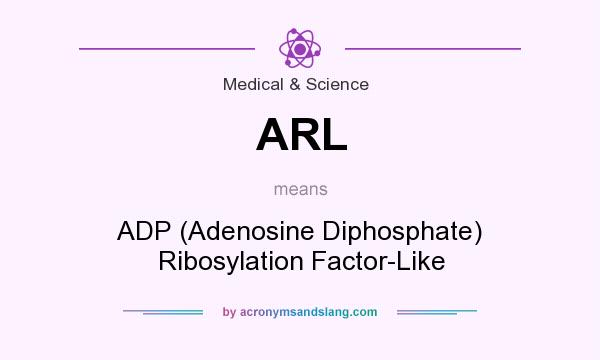 What does ARL mean? It stands for ADP (Adenosine Diphosphate) Ribosylation Factor-Like