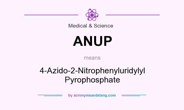 What does ANUP mean? It stands for 4-Azido-2-Nitrophenyluridylyl Pyrophosphate