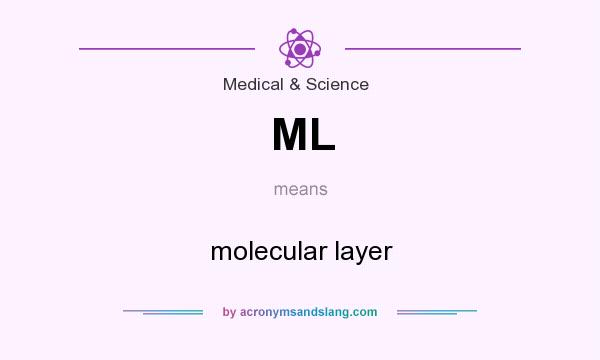What does ML mean? It stands for molecular layer