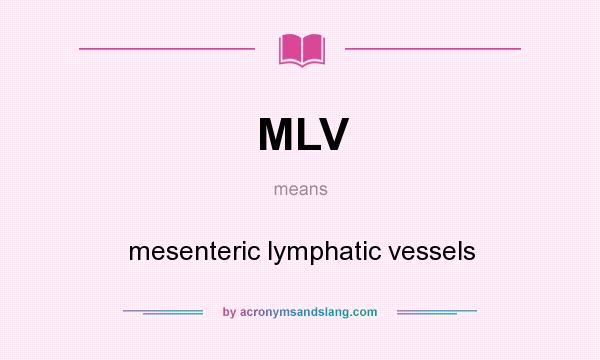 What does MLV mean? It stands for mesenteric lymphatic vessels
