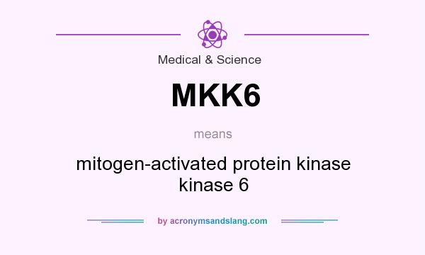 What does MKK6 mean? It stands for mitogen-activated protein kinase kinase 6