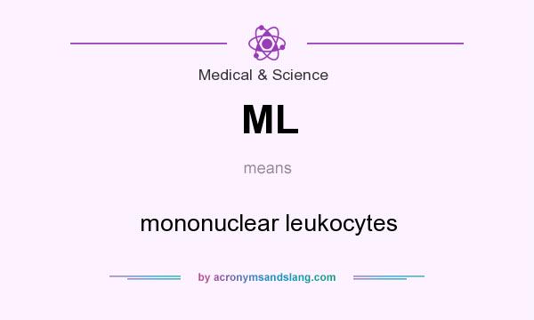 What does ML mean? It stands for mononuclear leukocytes