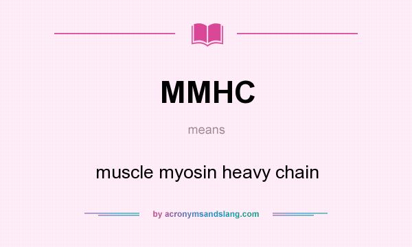 What does MMHC mean? It stands for muscle myosin heavy chain