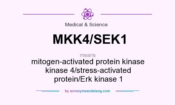 What does MKK4/SEK1 mean? It stands for mitogen-activated protein kinase kinase 4/stress-activated protein/Erk kinase 1