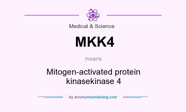 What does MKK4 mean? It stands for Mitogen-activated protein kinasekinase 4
