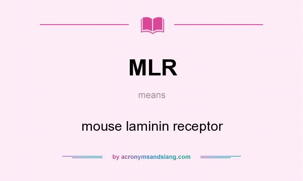What does MLR mean? It stands for mouse laminin receptor