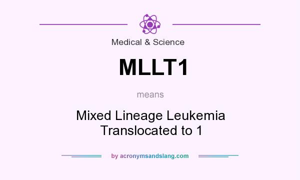 What does MLLT1 mean? It stands for Mixed Lineage Leukemia Translocated to 1
