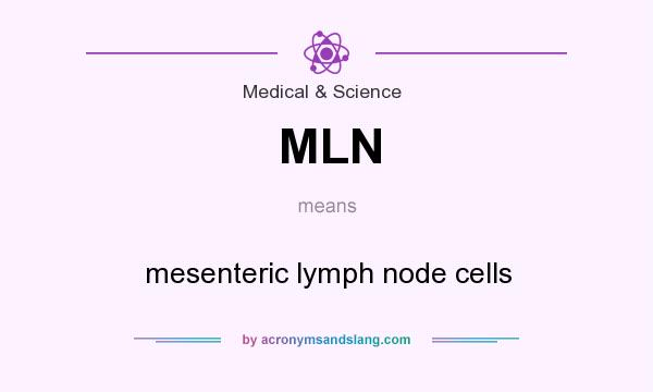 What does MLN mean? It stands for mesenteric lymph node cells