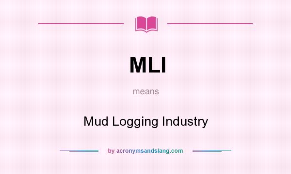 What does MLI mean? It stands for Mud Logging Industry