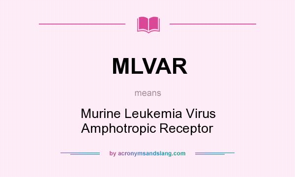 What does MLVAR mean? It stands for Murine Leukemia Virus Amphotropic Receptor