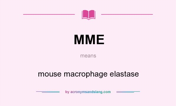 What does MME mean? It stands for mouse macrophage elastase