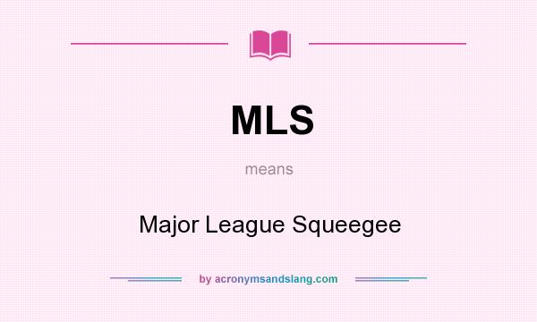What does MLS mean? It stands for Major League Squeegee