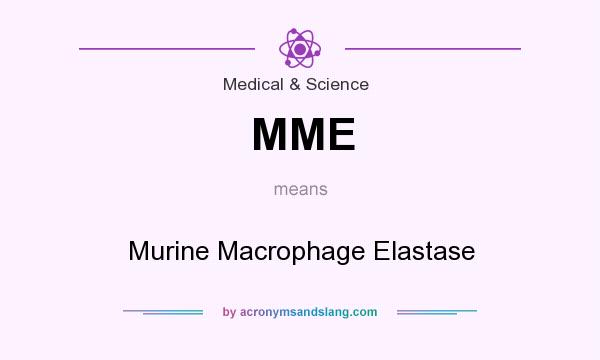 What does MME mean? It stands for Murine Macrophage Elastase