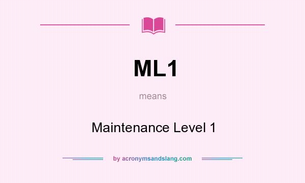 What does ML1 mean? It stands for Maintenance Level 1