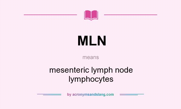 What does MLN mean? It stands for mesenteric lymph node lymphocytes