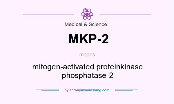 What does MKP-2 mean? It stands for mitogen-activated proteinkinase phosphatase-2