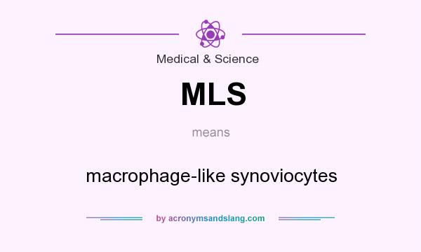 What does MLS mean? It stands for macrophage-like synoviocytes