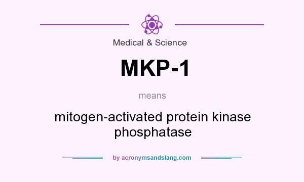 What does MKP-1 mean? It stands for mitogen-activated protein kinase phosphatase