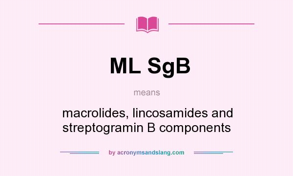 What does ML SgB mean? It stands for macrolides, lincosamides and streptogramin B components