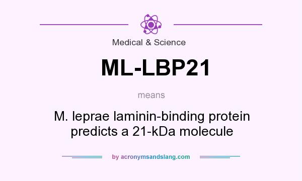 What does ML-LBP21 mean? It stands for M. leprae laminin-binding protein predicts a 21-kDa molecule