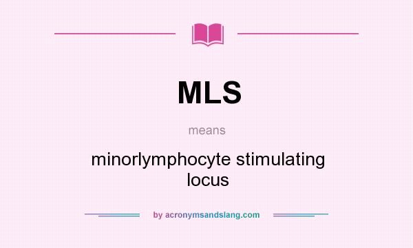 What does MLS mean? It stands for minorlymphocyte stimulating locus