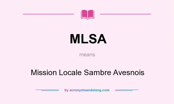 What does MLSA mean? It stands for Mission Locale Sambre Avesnois