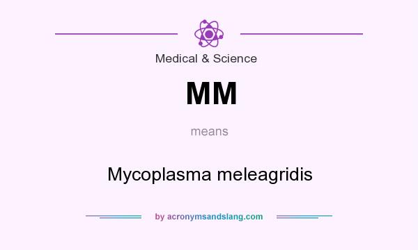 What does MM mean? It stands for Mycoplasma meleagridis