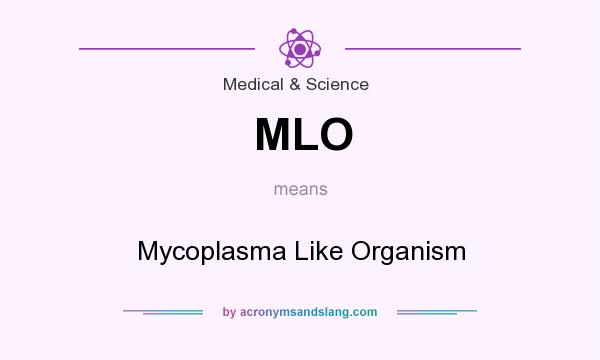 What does MLO mean? It stands for Mycoplasma Like Organism