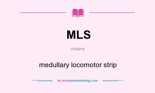 What does MLS mean? It stands for medullary locomotor strip