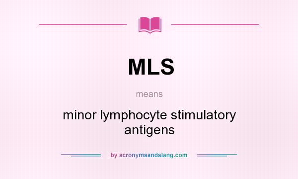 What does MLS mean? It stands for minor lymphocyte stimulatory antigens