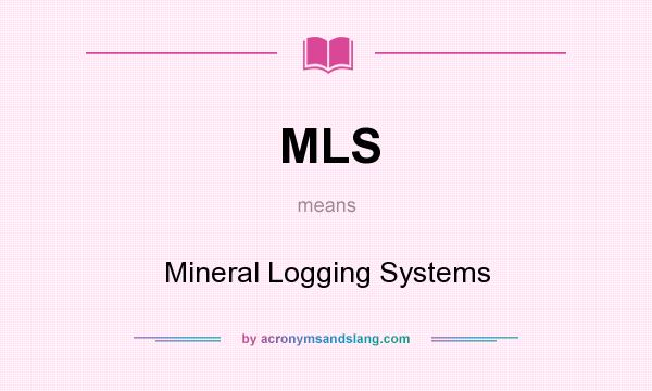 What does MLS mean? It stands for Mineral Logging Systems