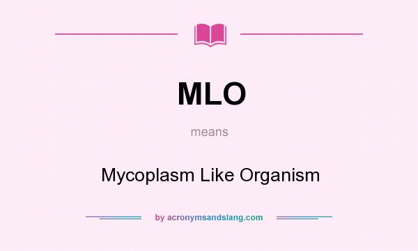 What does MLO mean? It stands for Mycoplasm Like Organism
