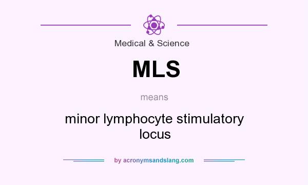 What does MLS mean? It stands for minor lymphocyte stimulatory locus