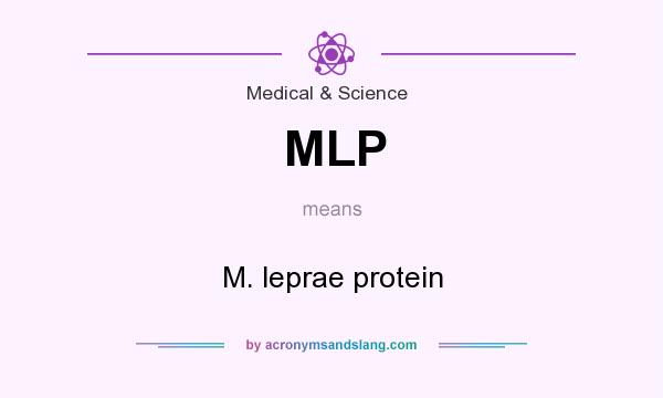 What does MLP mean? It stands for M. leprae protein
