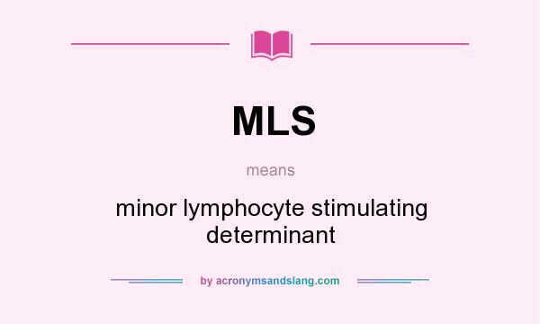 What does MLS mean? It stands for minor lymphocyte stimulating determinant