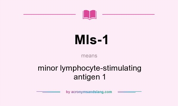 What does Mls-1 mean? It stands for minor lymphocyte-stimulating antigen 1