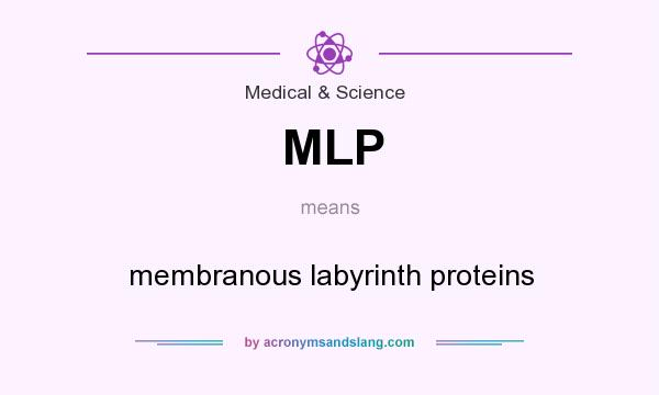 What does MLP mean? It stands for membranous labyrinth proteins