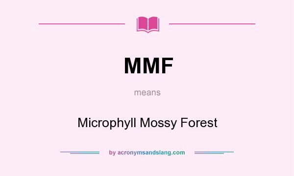 What does MMF mean? It stands for Microphyll Mossy Forest