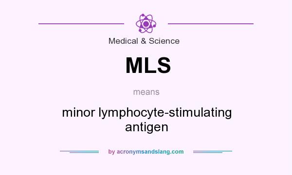What does MLS mean? It stands for minor lymphocyte-stimulating antigen